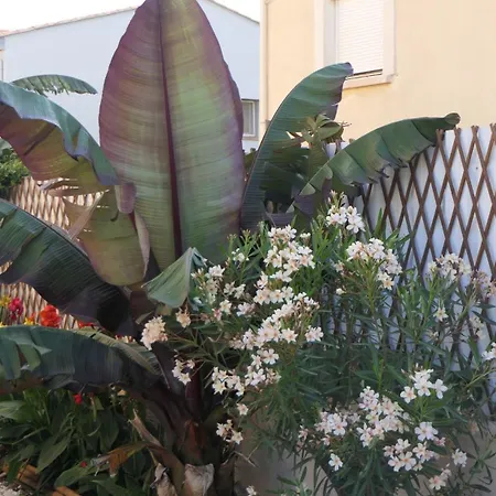 Avec Piscine Et Parking Privé